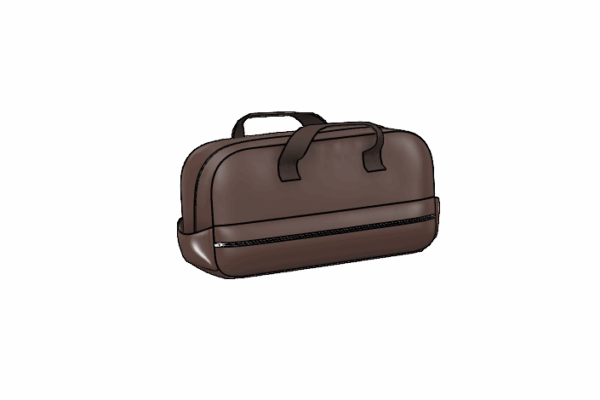 Cooler Handbag